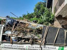 Best Scrap Metal Removal  in Rehobeth, AL