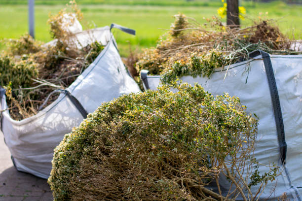 Best Commercial Junk Removal  in Rehobeth, AL